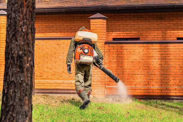Trusted Mosquito Control service in Waynesboro, MS - Nex Pest Control